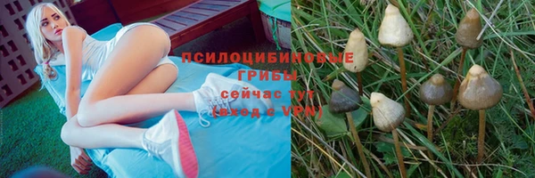 jwh Дубовка