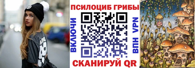 Псилоцибиновые грибы Psilocybine cubensis  закладка  площадка Telegram  Кыштым 